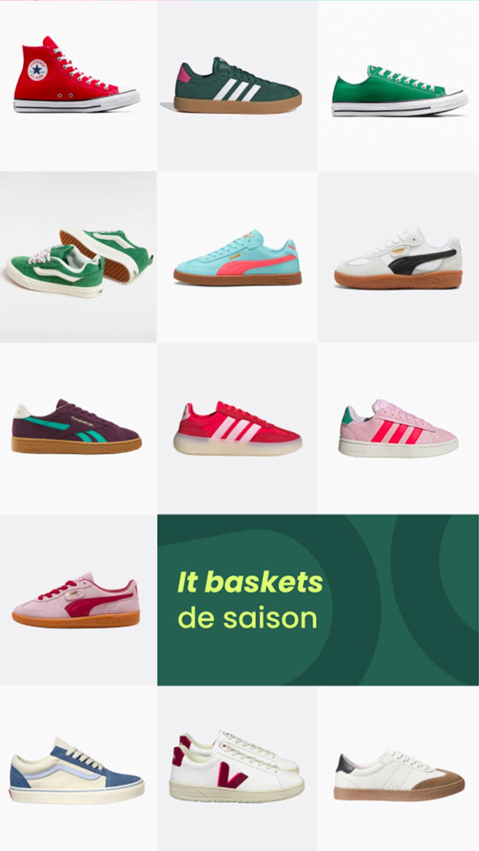 Story organique : les it-baskets