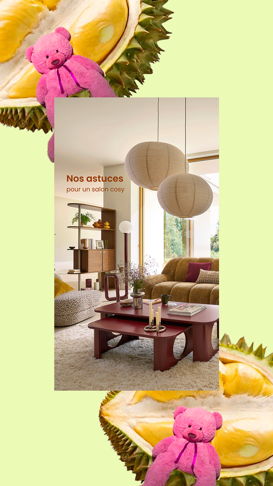 Story organique : salon cosy